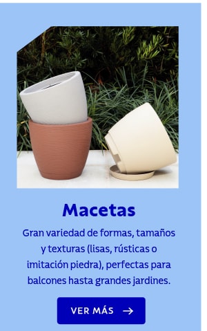 Macetas